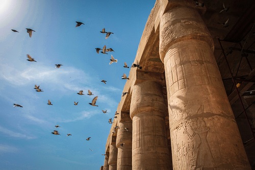 Cairo and 4 Nights Nile Cruise Luxor to Aswan Cairo and 4 Nights Nile Cruise Luxor to Aswan